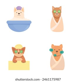 Iconos de cuidado de perro conjunto de dibujos animados Vector. Perro lindo disfrutando procedimiento de salón. Limpiar mascota feliz