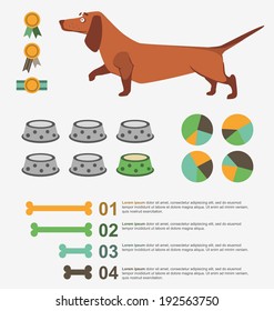 Dog care infographic. Vector illustration