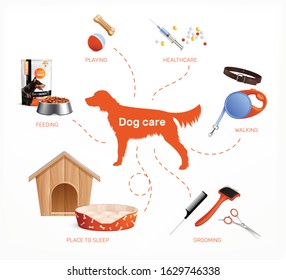 Dog care infographics layout with healthcare feeding walking grooming playing place to sleep realistic elements vector illustration