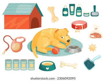 Se han establecido elementos para el cuidado de perros y perros. Ilustración de dibujos animados. 