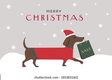 the dog carries Christmas gifts in its teeth. dachshund. Christmas discounts. vector flat illustration