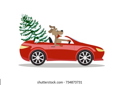 The dog carries a tree in a red sports car.