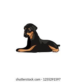 Dog cartoon character design vector eps format