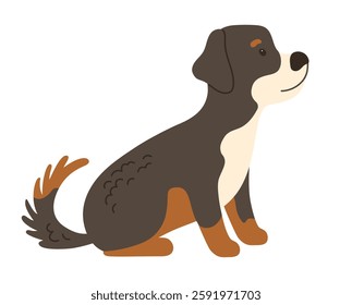 Dog cartoon character illustration for kids. Friendly cute Bernese Mountain Dog sits. Funny childish adorable domestic pet animals isolated on white background. Comic simple vector art for children