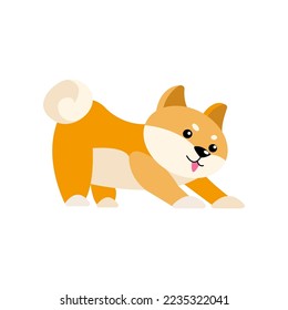 Dog cartoon character stretching vector illustration. Cute puppy growing from little to adult and elderly, small stage of growth isolated on white background. Pets, time concept