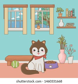 Dog cartoon design vector illustrator