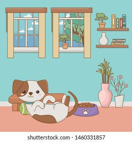 Dog cartoon design vector illustrator