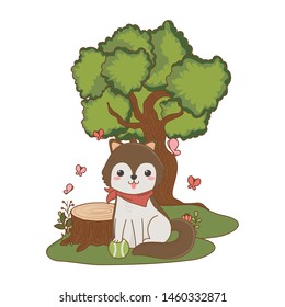 Dog cartoon design vector illustrator