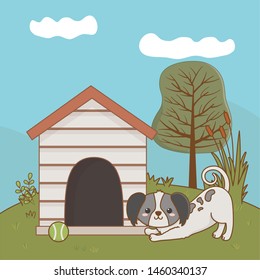 Dog cartoon design vector illustrator