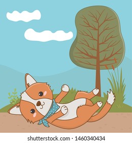 Dog cartoon design vector illustrator