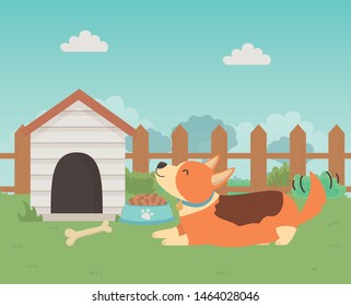 Dog cartoon design vector illustrator