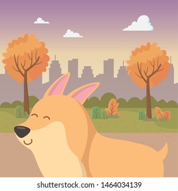 Dog cartoon design vector illustrator