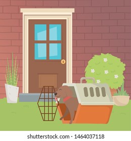 Dog cartoon design vector illustrator