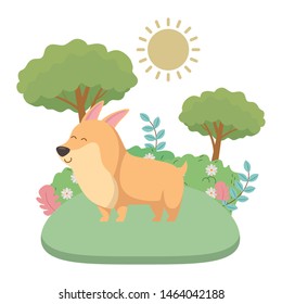 Dog cartoon design vector illustrator