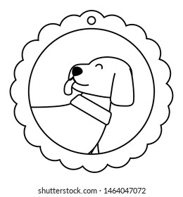 Dog cartoon design vector illustrator