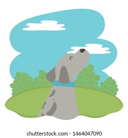Dog cartoon design vector illustrator
