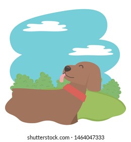 Dog cartoon design vector illustrator