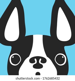 Dog cartoon drawing pattern. French bulldog vector wallpaper isolated. Black and white dog on blue background.