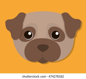 dog cartoon pet animal con. Colorful and flat design. Vector illustration