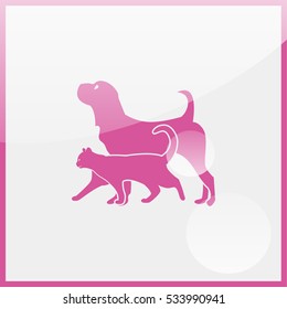 Dog and cat.