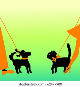 Dog and cat