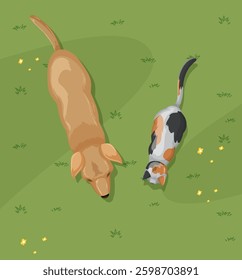 A dog and cat exploring a grassy field
