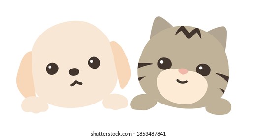 dog and cat. face and hands. white background.