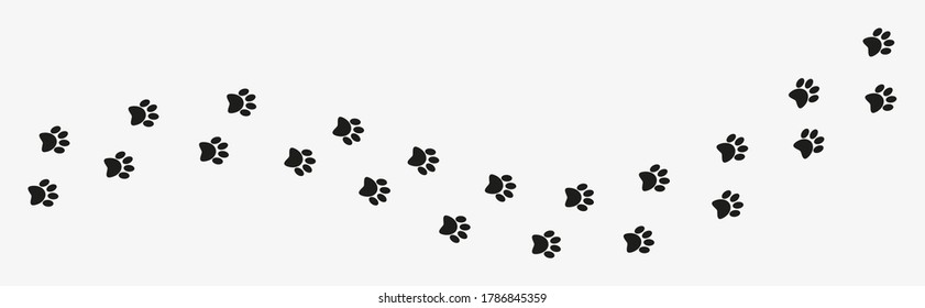 Dog or cat footprints vector, paw print vector. Dog footprints. Paw vector foot trail print on white background.