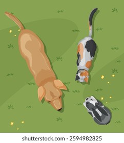 Dog, cat, and guinea pig on green grass