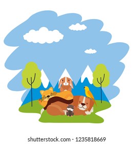 dog cat hamster rabbit and bird loutdoors
