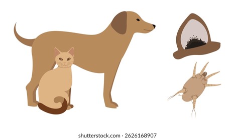Dog and cat having ear mites parasite