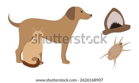 Dog and cat having ear mites parasite