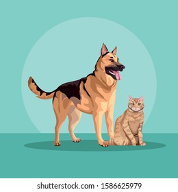 dog and cat mascots domestics vector illustration design