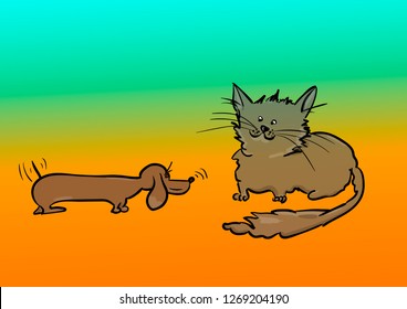 dog and cat on the white