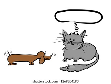 dog and cat on the white