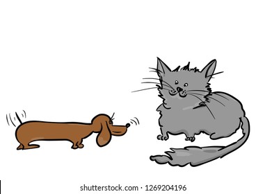 dog and cat on the white