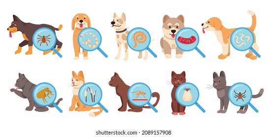 Dog and cat parasites set. Cartoon vector illustration