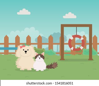 dog and cat park game pet care vector illustration