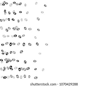 Dog or cat paw black footprint, isolated on white back layer. Doggo, puppy or kitten foot steps vector silhouette. Cute animal backdrop of paw foot print for illustration or fashion design.