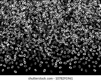 Dog or cat paw white footprint, isolated on black back layer. Doggo, puppy or kitten foot steps vector contour. Cute animal background of paw foot print for illustration or interior design.