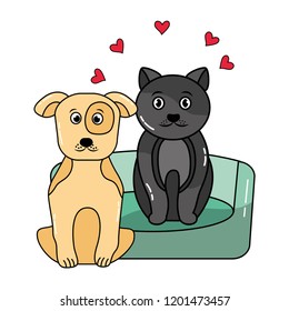 dog and cat pet animals friendly love