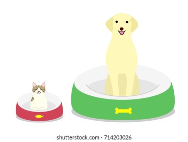 dog and cat sitting comfortably in each bed