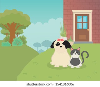 dog and cat sitting in the house outside pet care vector illustration