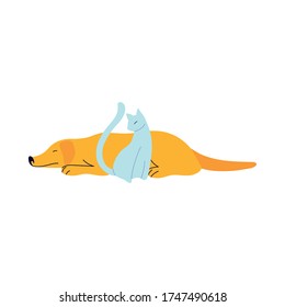 dog and cat sleeping on the floor vector illustration design