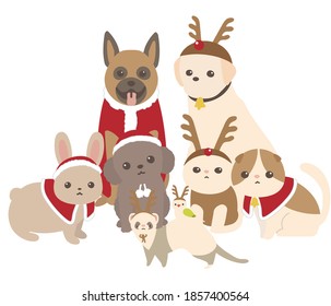dog and cat and small animals. Merry Christmas. pets. Santa claus costume.