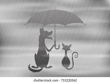 Dog and cat under the umbrella.