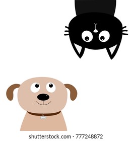 Dog Cat upside down. Pet adoption. Adopt me. Dont buy. Puppy pooch kitty cat looking up. Flat design. Help homeless animal concept. White background. Isolated. Vector illustration