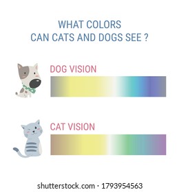犬と猫の視覚カラースペクトルインフォグラフィックス 犬の色覚と猫の色覚 犬と猫が見える色は ベクターイラストチャートです のベクター画像素材 ロイヤリティフリー
