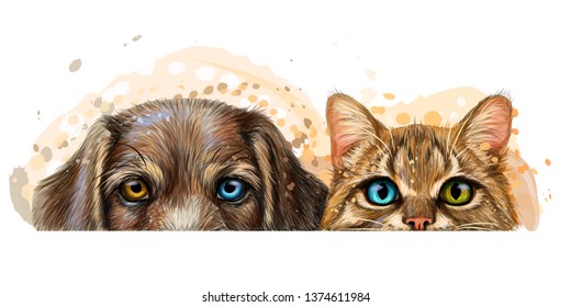 
Dog and cat. Wall sticker. Graphic, artistic, color drawing of a cat and a dog looking at a table on a white background with splashes of watercolor.