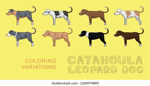Dog Catahoula Leopard Dog Coloring Variations Cartoon Vector Illustration